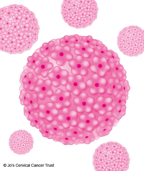 HPV virus