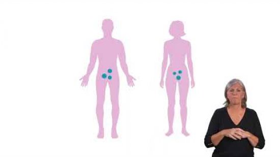 Embedded thumbnail for What is HPV? BSL